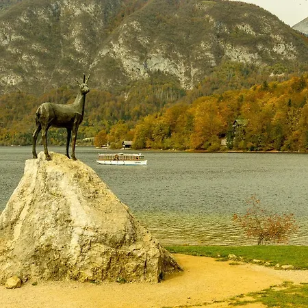 Sara Bohinj